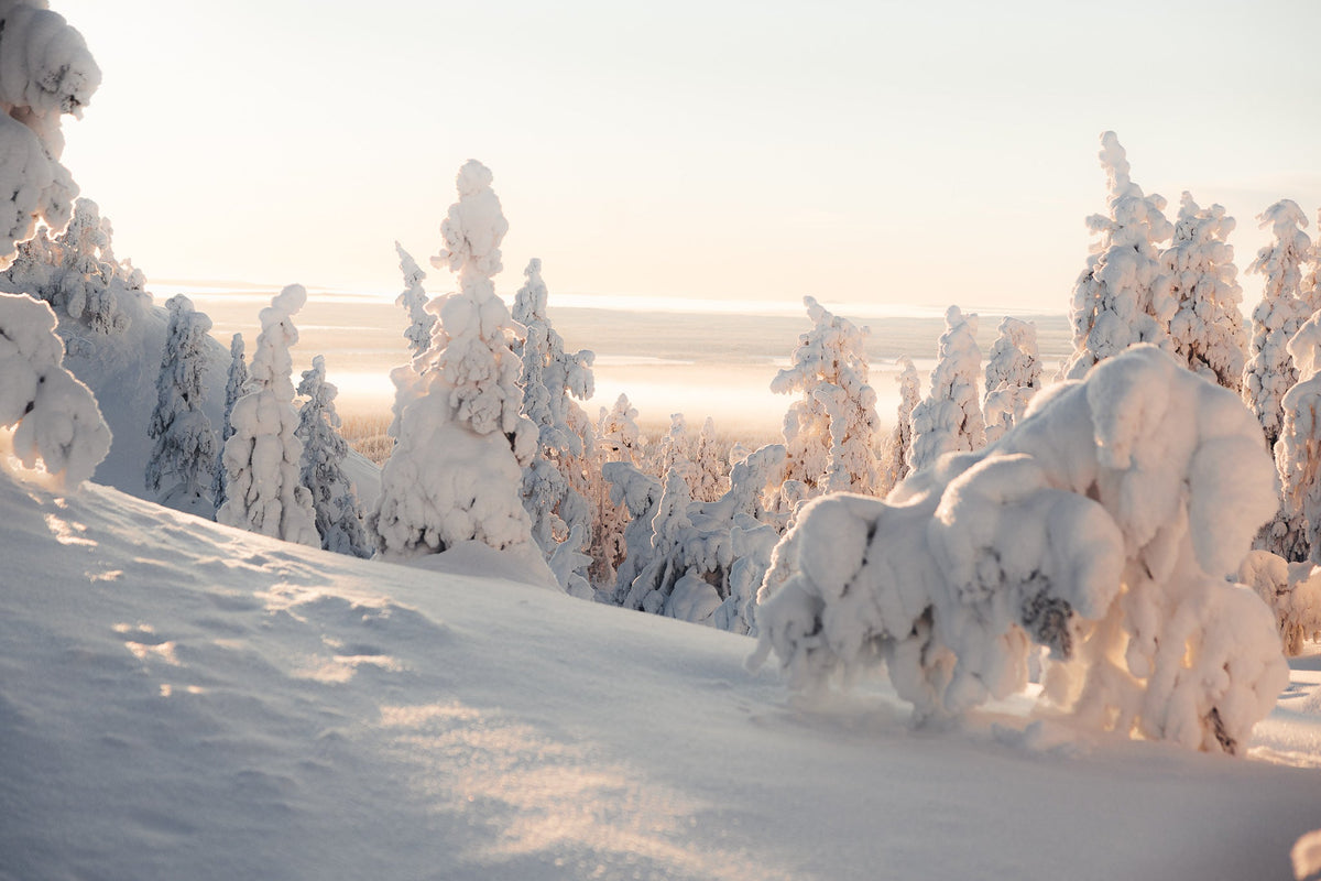 Finding silence in Kuusamo’s winter wilderness